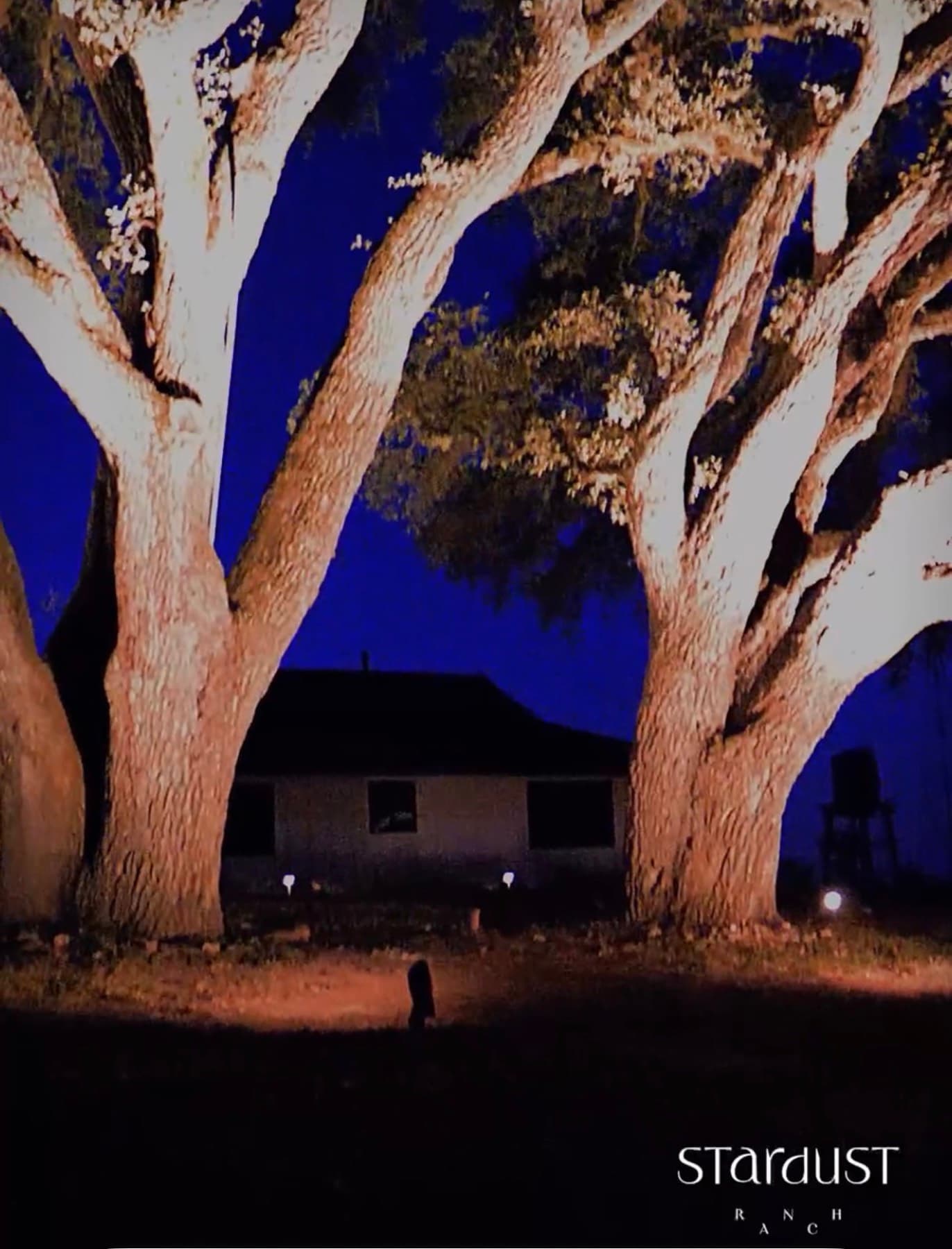 Stardust Ranch